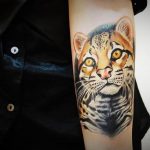 Photo tattoo cheetah 22.01.2019 №095 - tattoo cheetah example of drawing - tattoovalue.net