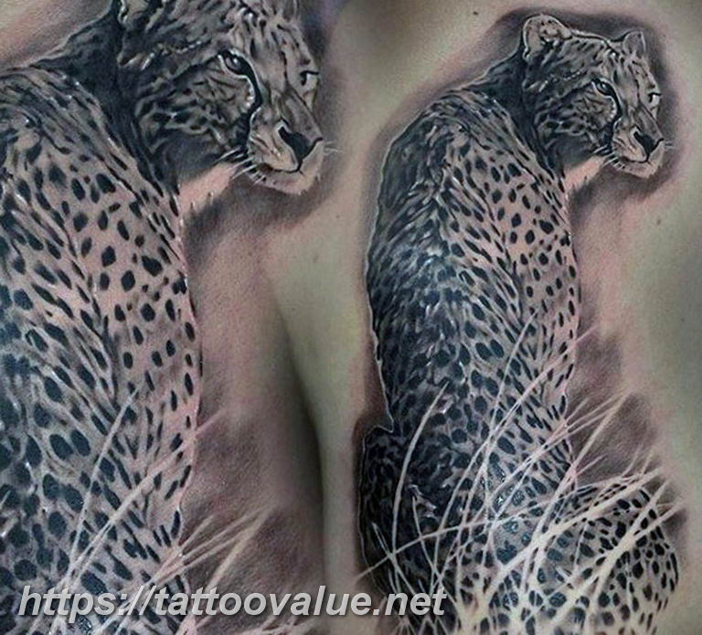 Photo tattoo cheetah 22.01.2019 №097 - tattoo cheetah example of drawing - tattoovalue.net
