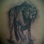 Photo tattoo cheetah 22.01.2019 №098 - tattoo cheetah example of drawing - tattoovalue.net