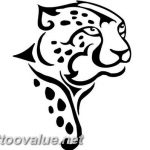 Photo tattoo cheetah 22.01.2019 №100 - tattoo cheetah example of drawing - tattoovalue.net