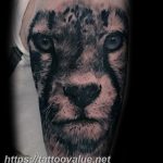 Photo tattoo cheetah 22.01.2019 №102 - tattoo cheetah example of drawing - tattoovalue.net