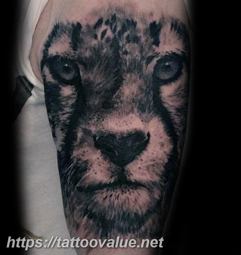 Photo tattoo cheetah 22.01.2019 №102 - tattoo cheetah example of drawing - tattoovalue.net