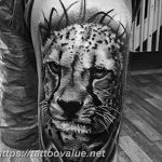 Photo tattoo cheetah 22.01.2019 №108 - tattoo cheetah example of drawing - tattoovalue.net