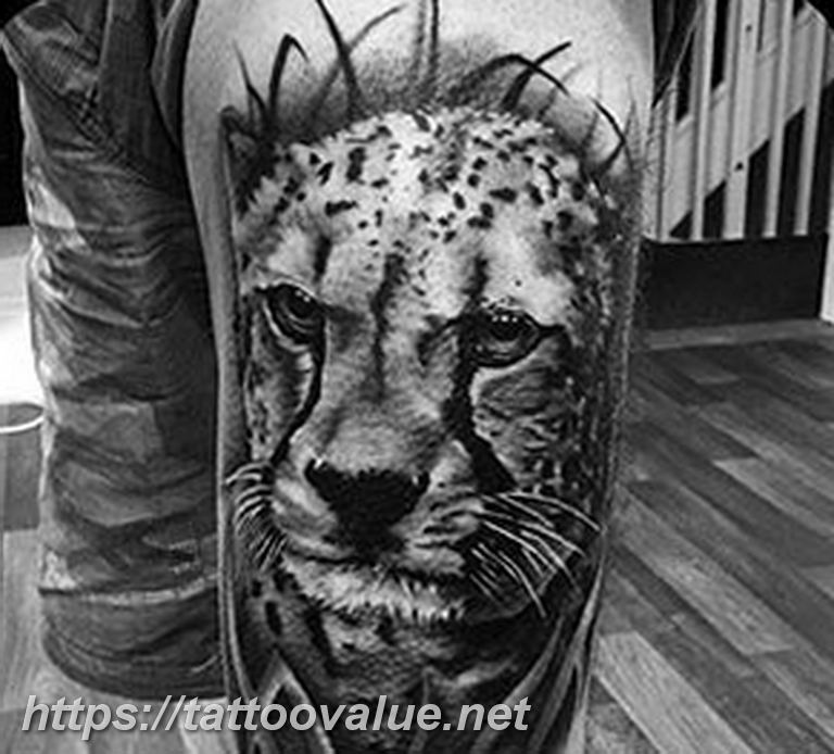 Photo tattoo cheetah 22.01.2019 №108 - tattoo cheetah example of drawing - tattoovalue.net