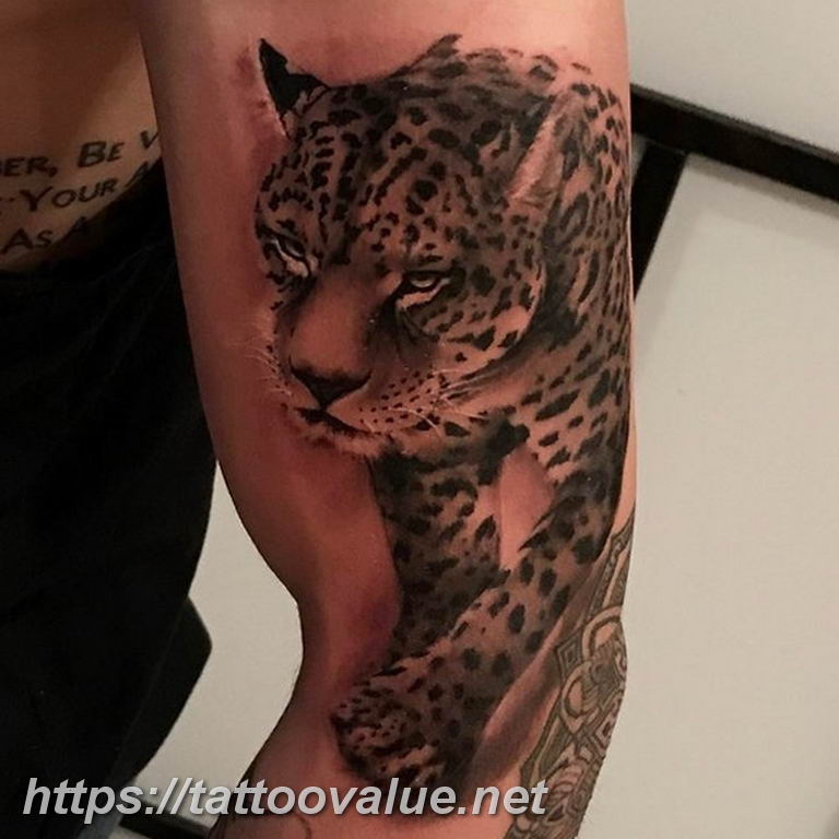 Photo tattoo cheetah 22.01.2019 №111 - tattoo cheetah example of drawing - tattoovalue.net
