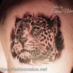 Photo tattoo cheetah 22.01.2019 №118 - tattoo cheetah example of drawing - tattoovalue.net