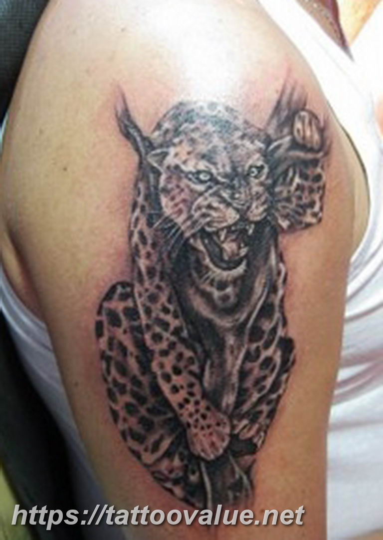 Photo tattoo cheetah 22.01.2019 №122 - tattoo cheetah example of drawing - tattoovalue.net