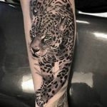 Photo tattoo cheetah 22.01.2019 №124 - tattoo cheetah example of drawing - tattoovalue.net