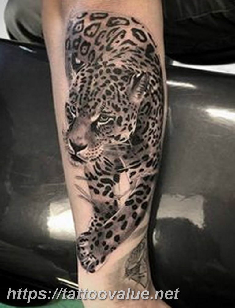 Photo tattoo cheetah 22.01.2019 №124 - tattoo cheetah example of drawing - tattoovalue.net