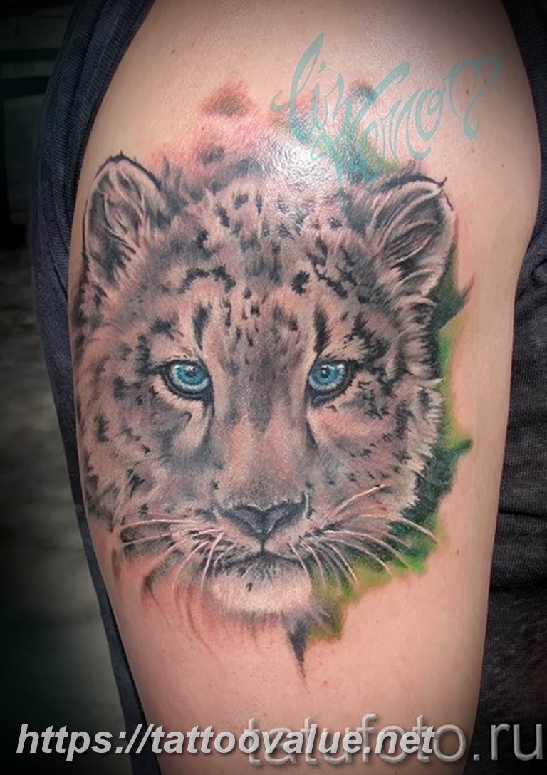 Photo tattoo cheetah 22.01.2019 №127 - tattoo cheetah example of drawing - tattoovalue.net