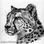 Photo tattoo cheetah 22.01.2019 №132 - tattoo cheetah example of drawing - tattoovalue.net