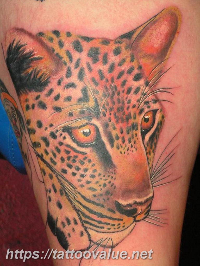 Photo tattoo cheetah 22.01.2019 №139 - tattoo cheetah example of drawing - tattoovalue.net