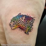 Photo tattoo cheetah 22.01.2019 №144 - tattoo cheetah example of drawing - tattoovalue.net