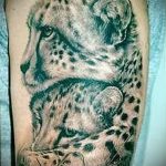 Photo tattoo cheetah 22.01.2019 №146 - tattoo cheetah example of drawing - tattoovalue.net