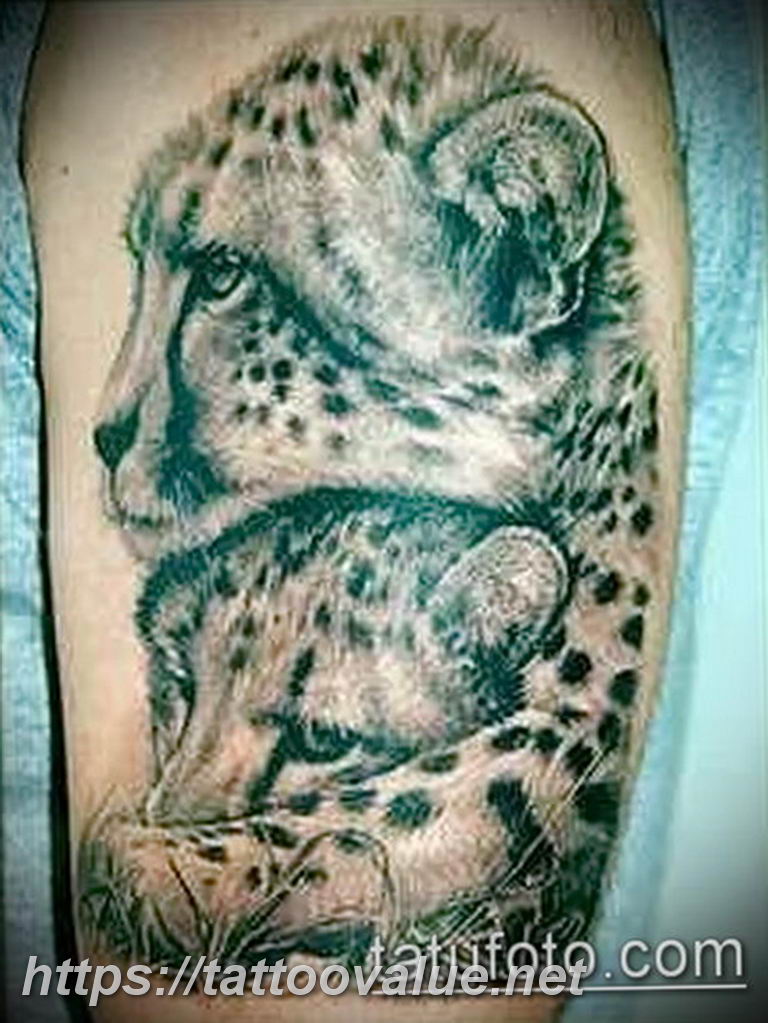Photo tattoo cheetah 22.01.2019 №146 - tattoo cheetah example of drawing - tattoovalue.net