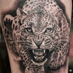 Photo tattoo cheetah 22.01.2019 №148 - tattoo cheetah example of drawing - tattoovalue.net