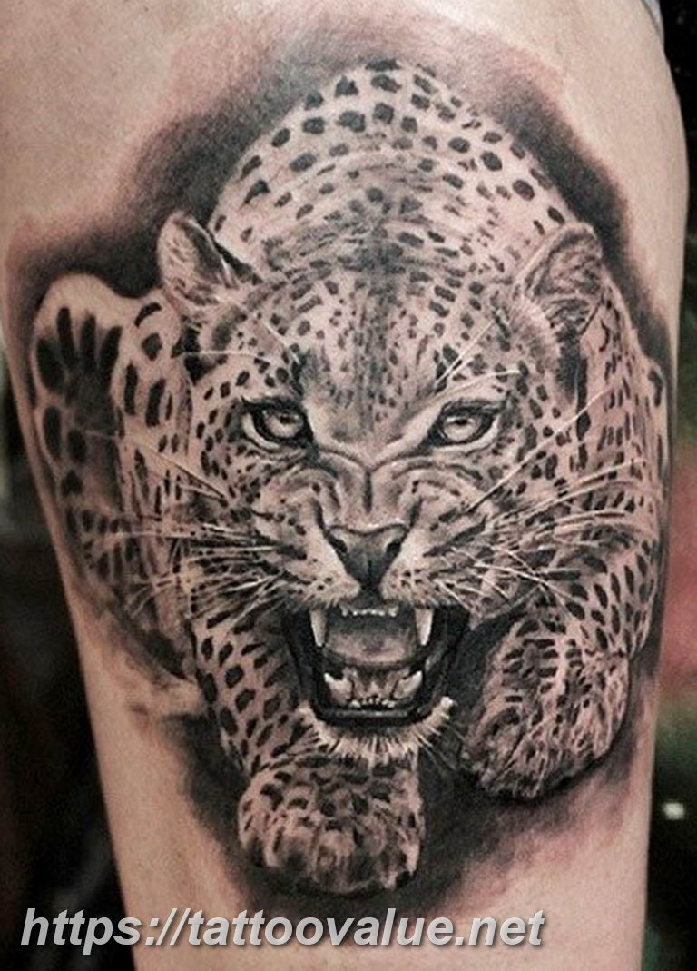 Photo tattoo cheetah 22.01.2019 №148 - tattoo cheetah example of drawing - tattoovalue.net