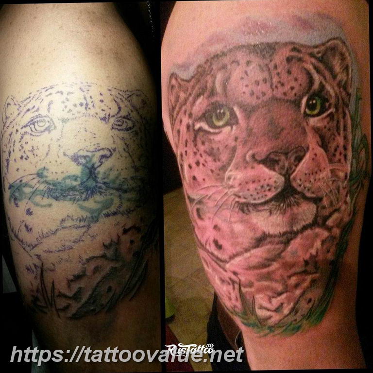 Photo tattoo cheetah 22.01.2019 №156 - tattoo cheetah example of drawing - tattoovalue.net