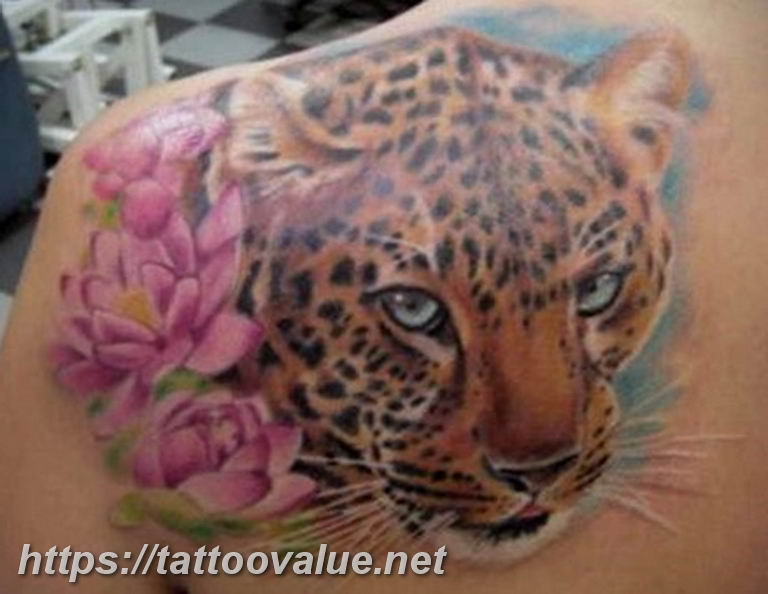Photo tattoo cheetah 22.01.2019 №159 - tattoo cheetah example of drawing - tattoovalue.net