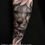Photo tattoo cheetah 22.01.2019 №160 - tattoo cheetah example of drawing - tattoovalue.net