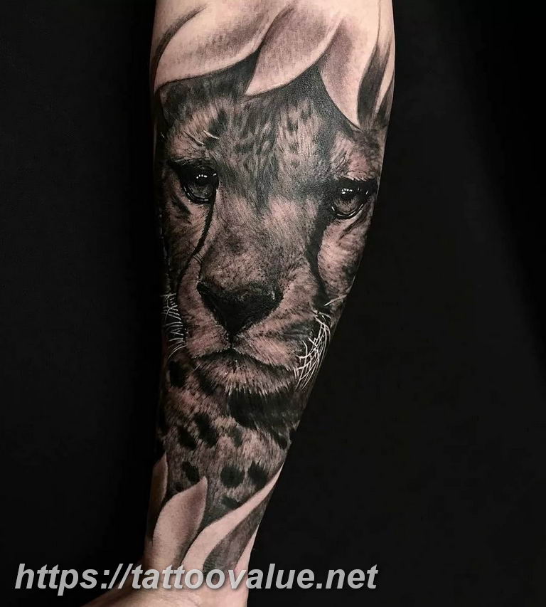 Photo tattoo cheetah 22.01.2019 №160 - tattoo cheetah example of drawing - tattoovalue.net