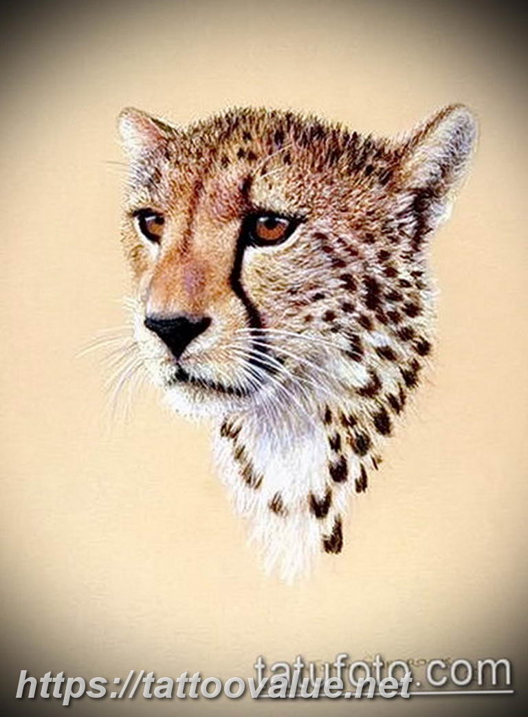 Photo tattoo cheetah 22.01.2019 №163 - tattoo cheetah example of drawing - tattoovalue.net