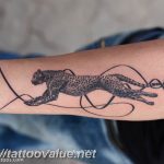 Photo tattoo cheetah 22.01.2019 №167 - tattoo cheetah example of drawing - tattoovalue.net