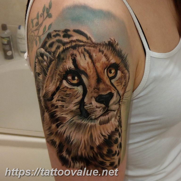 Photo tattoo cheetah 22.01.2019 №173 - tattoo cheetah example of drawing - tattoovalue.net