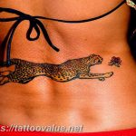 Photo tattoo cheetah 22.01.2019 №174 - tattoo cheetah example of drawing - tattoovalue.net