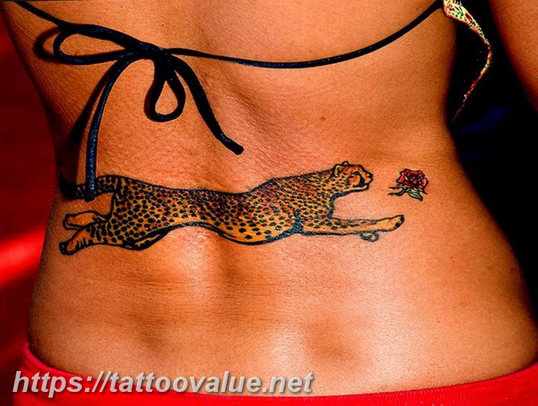 Photo tattoo cheetah 22.01.2019 №174 - tattoo cheetah example of drawing - tattoovalue.net