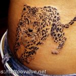 Photo tattoo cheetah 22.01.2019 №177 - tattoo cheetah example of drawing - tattoovalue.net