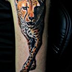 Photo tattoo cheetah 22.01.2019 №185 - tattoo cheetah example of drawing - tattoovalue.net