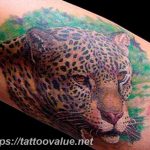 Photo tattoo cheetah 22.01.2019 №195 - tattoo cheetah example of drawing - tattoovalue.net