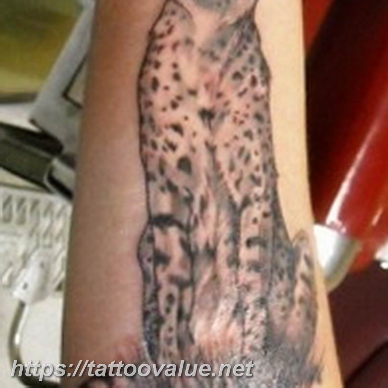 Photo tattoo cheetah 22.01.2019 №197 - tattoo cheetah example of drawing - tattoovalue.net