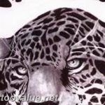 Photo tattoo cheetah 22.01.2019 №202 - tattoo cheetah example of drawing - tattoovalue.net