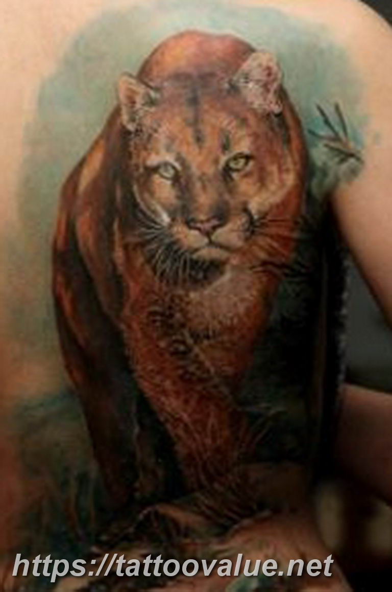 Photo tattoo cheetah 22.01.2019 №205 - tattoo cheetah example of drawing - tattoovalue.net