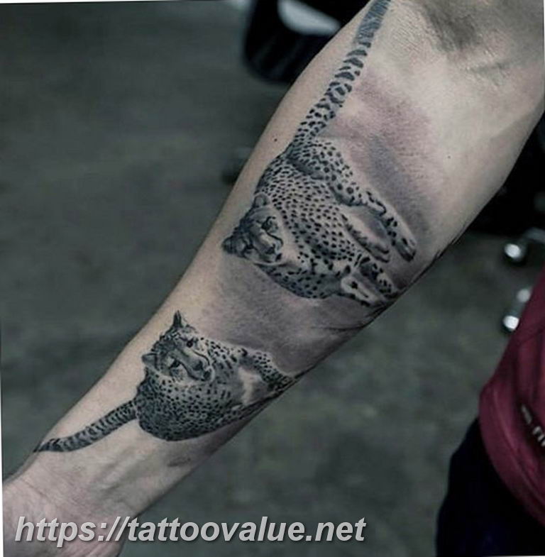 Photo tattoo cheetah 22.01.2019 №206 - tattoo cheetah example of drawing - tattoovalue.net