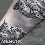 Photo tattoo cheetah 22.01.2019 №207 - tattoo cheetah example of drawing - tattoovalue.net