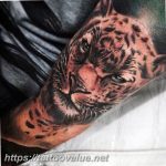 Photo tattoo cheetah 22.01.2019 №208 - tattoo cheetah example of drawing - tattoovalue.net