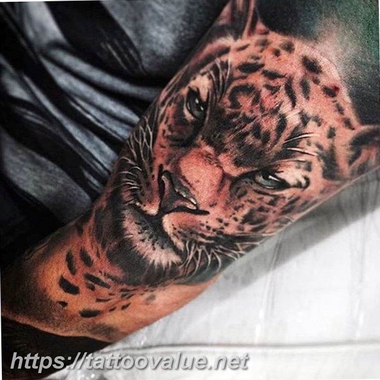 Photo tattoo cheetah 22.01.2019 №208 - tattoo cheetah example of drawing - tattoovalue.net