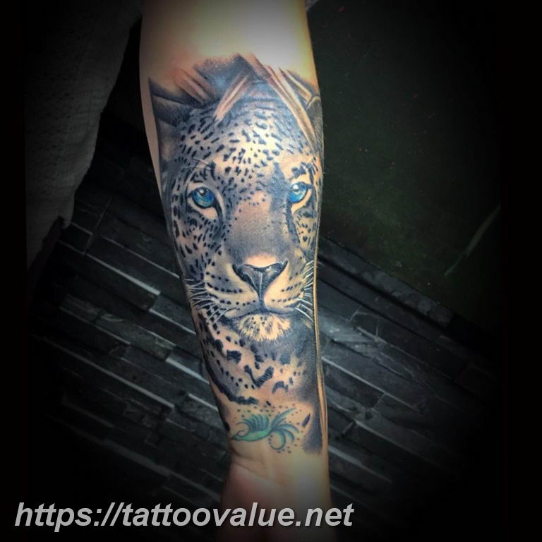 Photo tattoo cheetah 22.01.2019 №214 - tattoo cheetah example of drawing - tattoovalue.net
