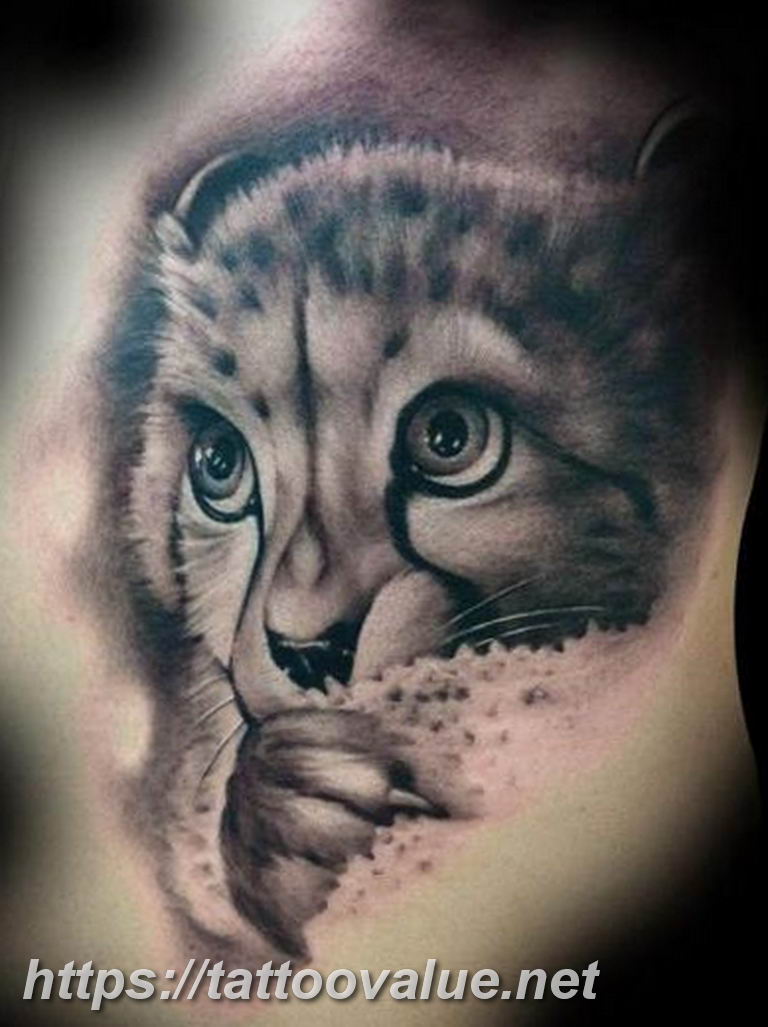 Photo tattoo cheetah 22.01.2019 №215 - tattoo cheetah example of drawing - tattoovalue.net
