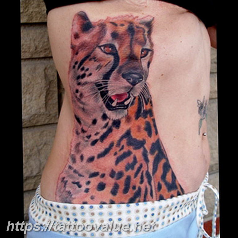 Photo tattoo cheetah 22.01.2019 №217 - tattoo cheetah example of drawing - tattoovalue.net