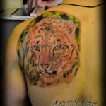 Photo tattoo cheetah 22.01.2019 №221 - tattoo cheetah example of drawing - tattoovalue.net