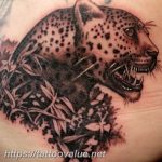 Photo tattoo cheetah 22.01.2019 №222 - tattoo cheetah example of drawing - tattoovalue.net