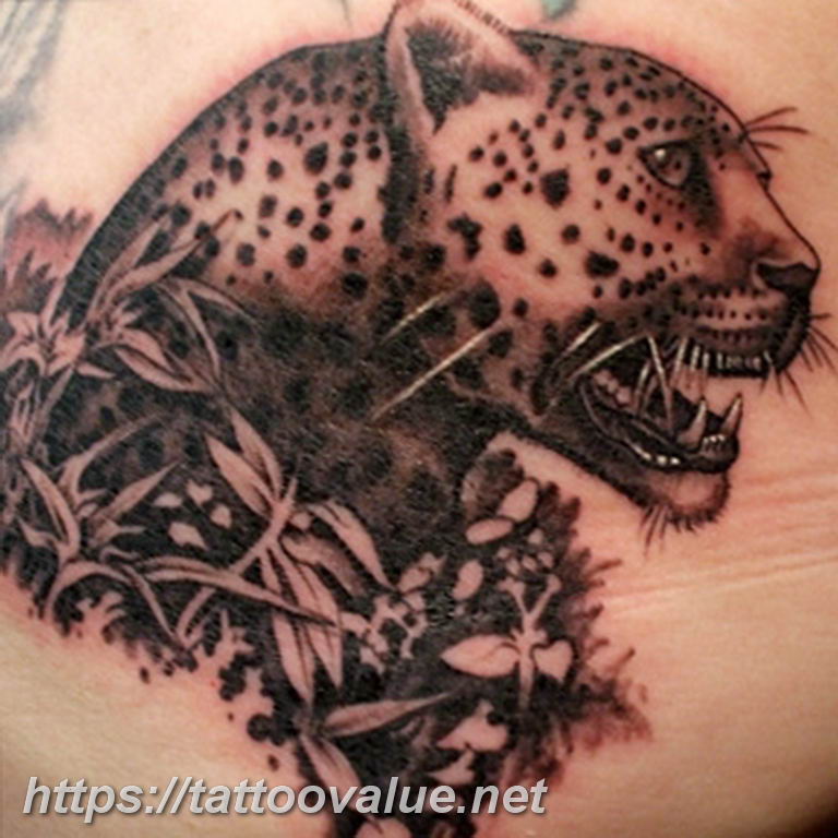 Photo tattoo cheetah 22.01.2019 №222 - tattoo cheetah example of drawing - tattoovalue.net