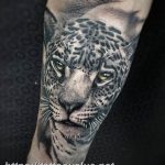 Photo tattoo cheetah 22.01.2019 №223 - tattoo cheetah example of drawing - tattoovalue.net