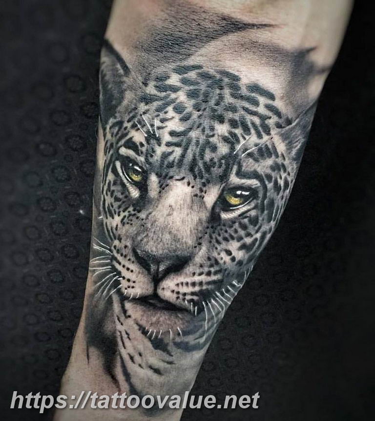 Photo tattoo cheetah 22.01.2019 №223 - tattoo cheetah example of drawing - tattoovalue.net