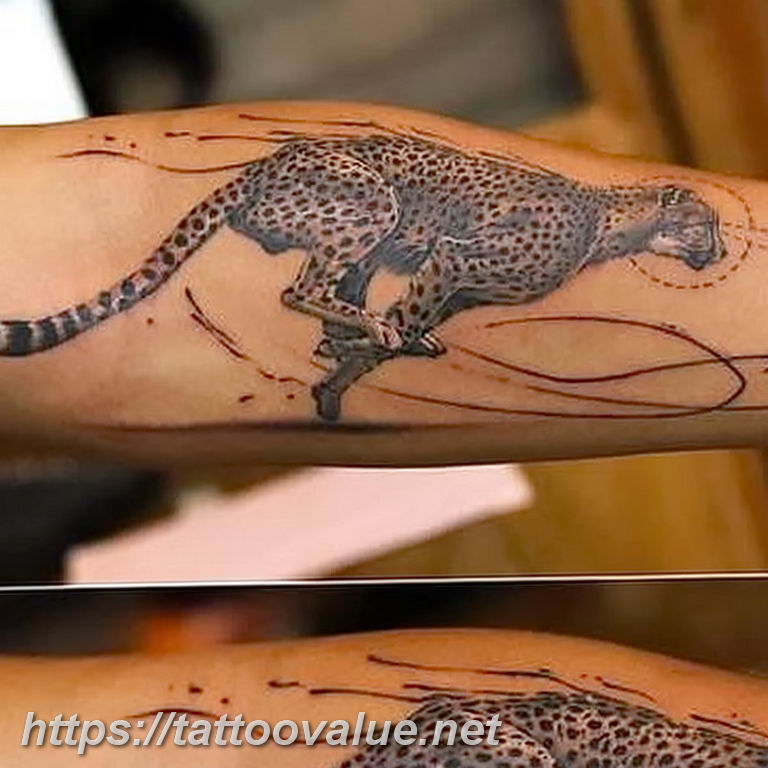 Photo tattoo cheetah 22.01.2019 №224 - tattoo cheetah example of drawing - tattoovalue.net