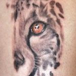 Photo tattoo cheetah 22.01.2019 №239 - tattoo cheetah example of drawing - tattoovalue.net